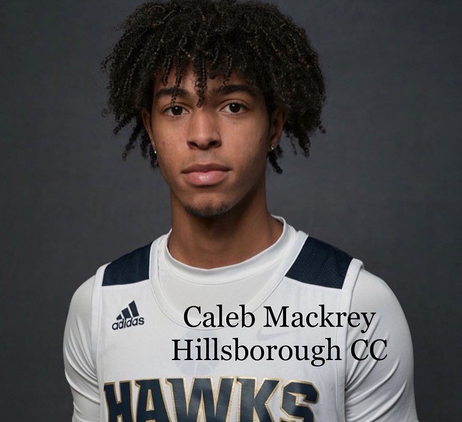 Coachmackrey's tweet photo. Alumni in action today!

Caleb Mackrey
@CalebMackrey
 
Hillsborough CC
vs. Santa Fe 7pm

Kyle Dzarnowski 
@kyle_dzarnowski
 
New England College
vs. Clark U. 7pm

Micah Octave
@MicahOctave
 
Indian River CC
vs. Daytona State 7pm

@oh_athletics @PBCBBallForum @pbphighschools https://t.co/ISQu9kCQJt