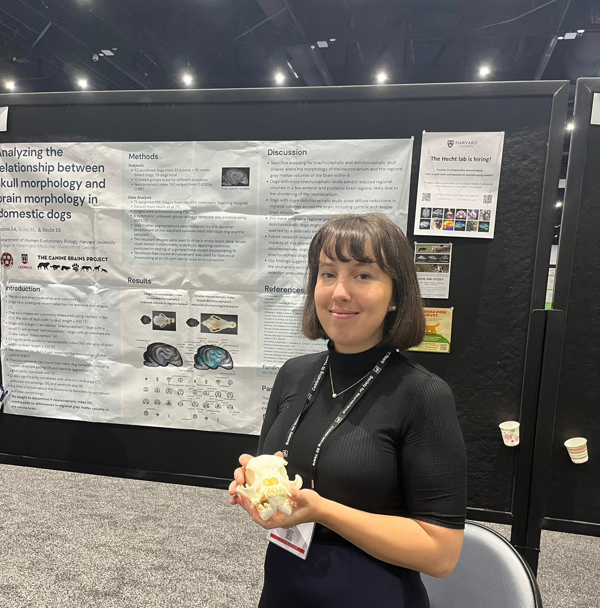 Had an ex-skull-ent time presenting my research about dog skull-brain covariation at #sfn #sfn22 #sfn2022 Will make my poster freely available soon!