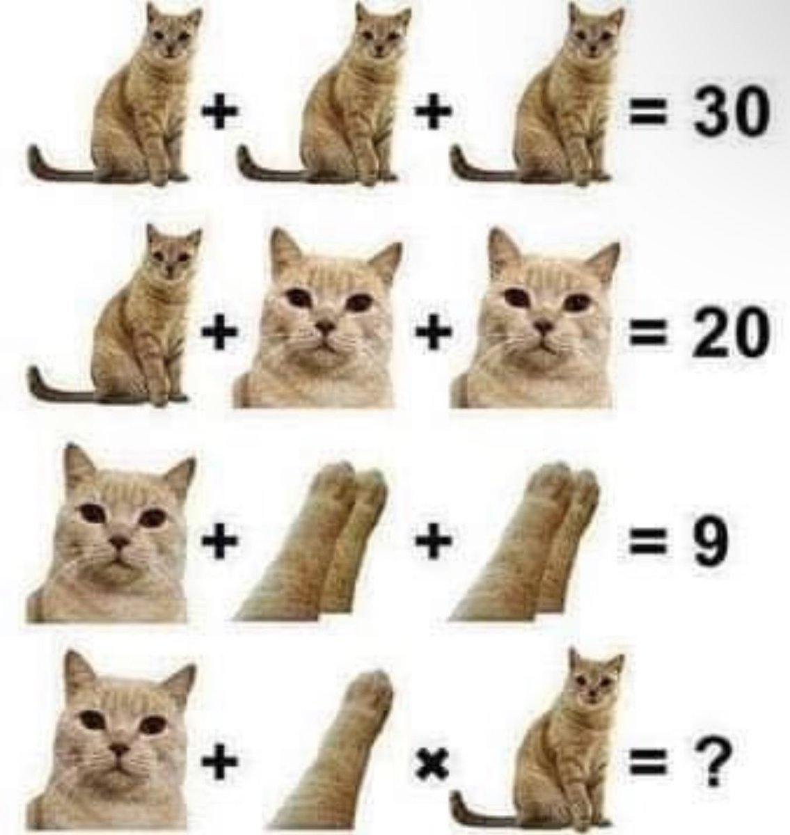 meta_birds's tweet photo. GM! ❤️ Can you solve this? https://t.co/vct5bDJsfA