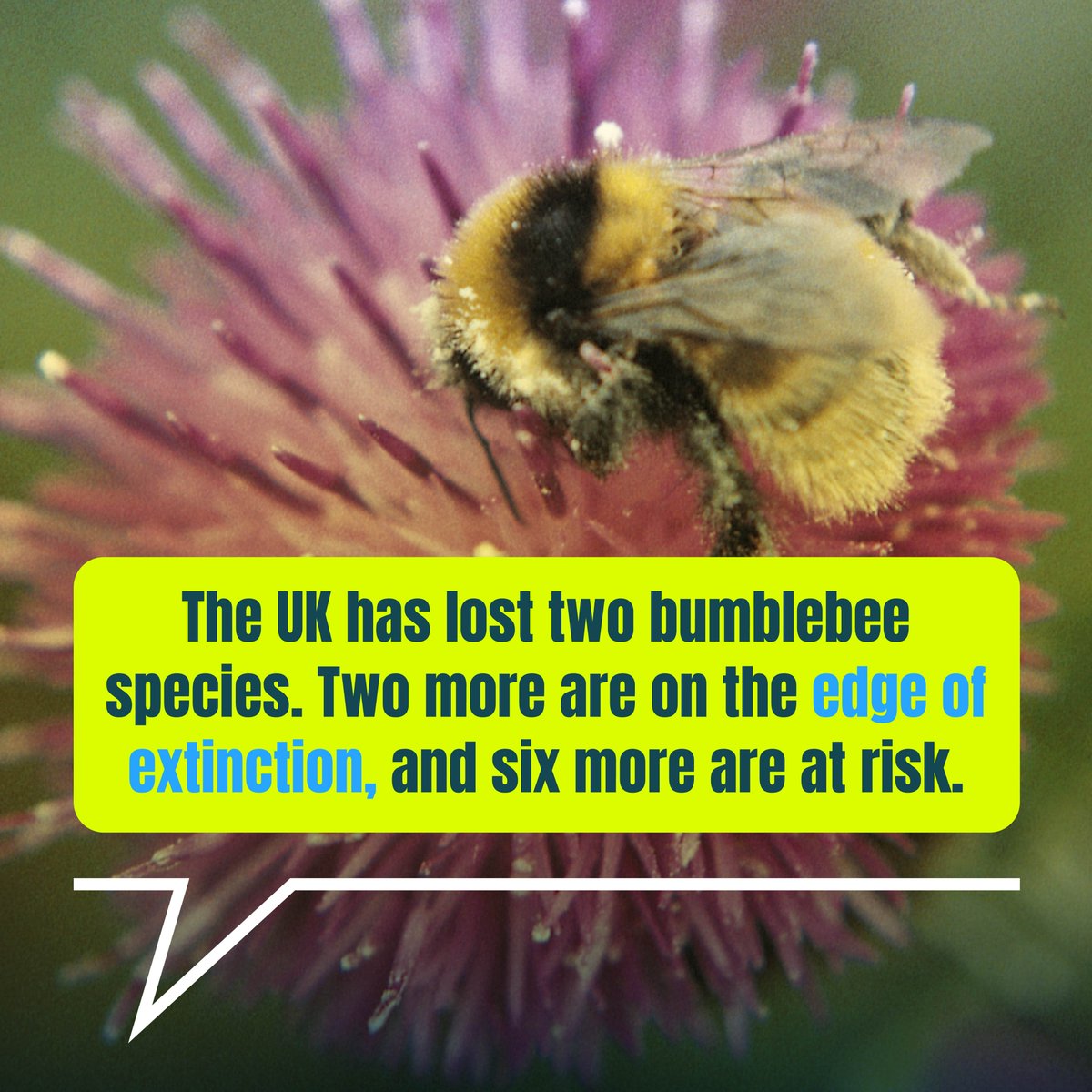 We need to have an urgent conversation about protecting nature 🧵1/4