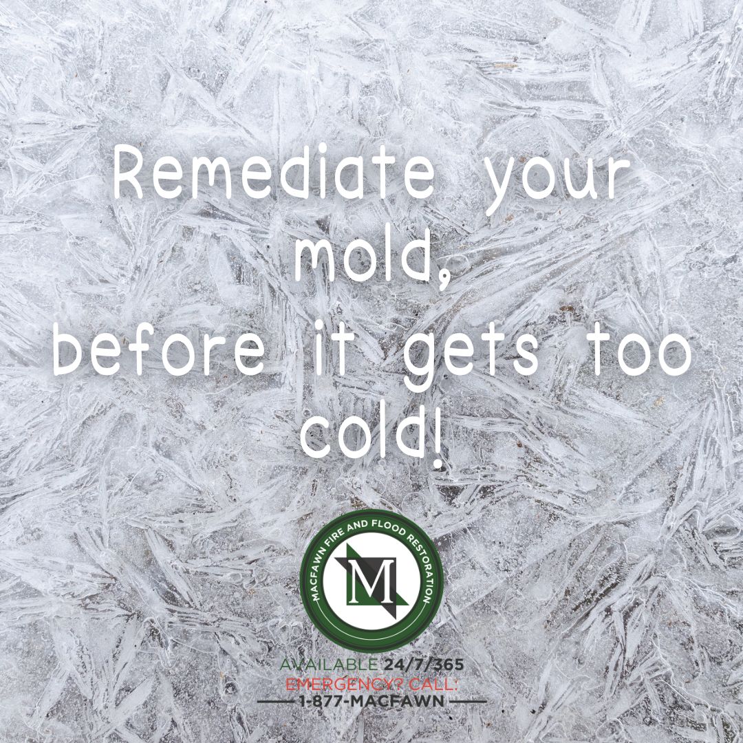 Mold Remediation becomes more difficult in the winter months because it can be too cold for the paint to properly dry. If you have a mold problem, now is the time to get is resolved! 

Call 518-785-6719 to schedule an estimate and get $250 off if you choose to move forward!