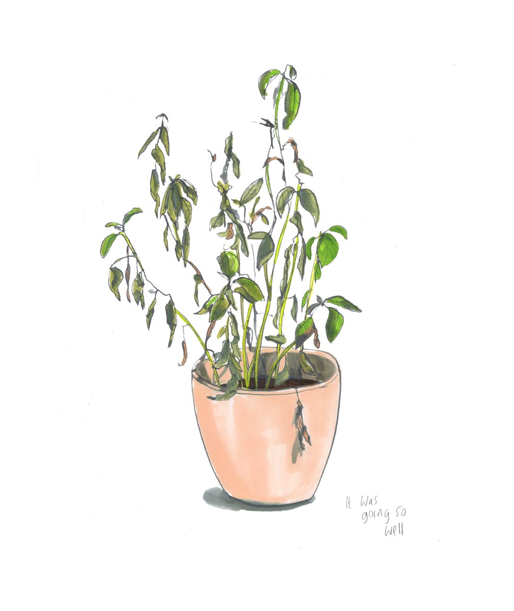 claremallison's tweet photo. #basil https://t.co/n1R9RmTvU9