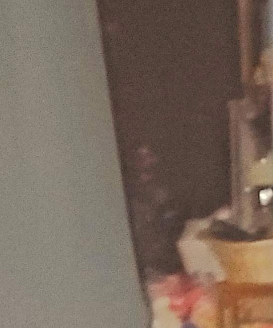 The Shadow Signal Podcast tweet media