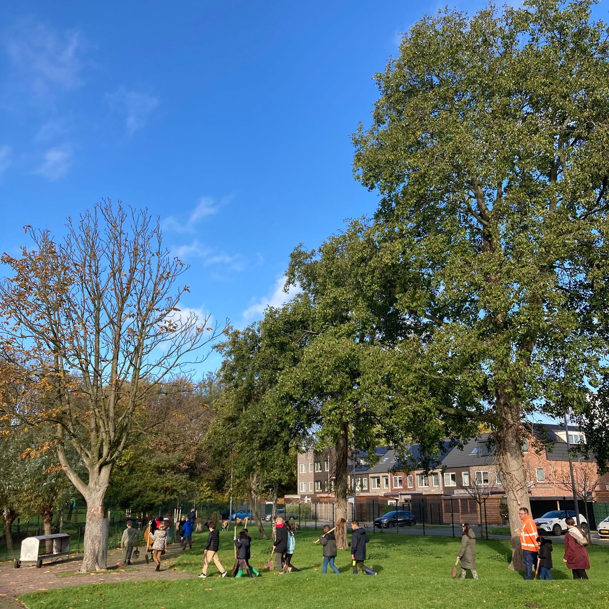 Bomen zijn onmisbaar, zeker in een stad als Rotterdam. Daarom deed de gemeente Rotterdam samen met Stichting Natuurstad Rotterdam op woensdag 16 november weer mee aan de Nationale Boomfeestdag. 

Lees meer op: natuurstad.nl/nieuws/boomfee…