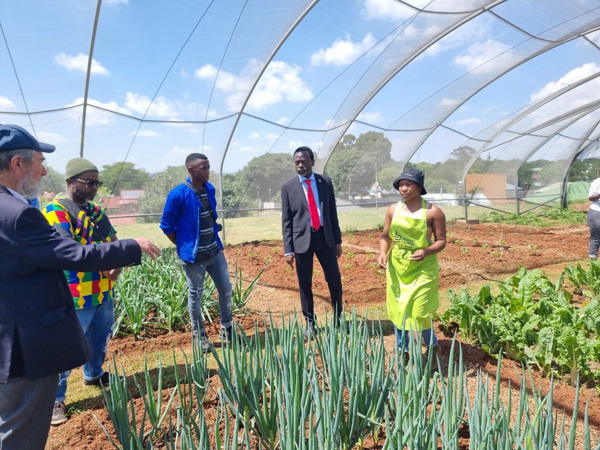 One of the legacy projects at UJ are food gardens in our campuses. We have to end hunger now. <a href="/go2uj/">University of Johannesburg</a>