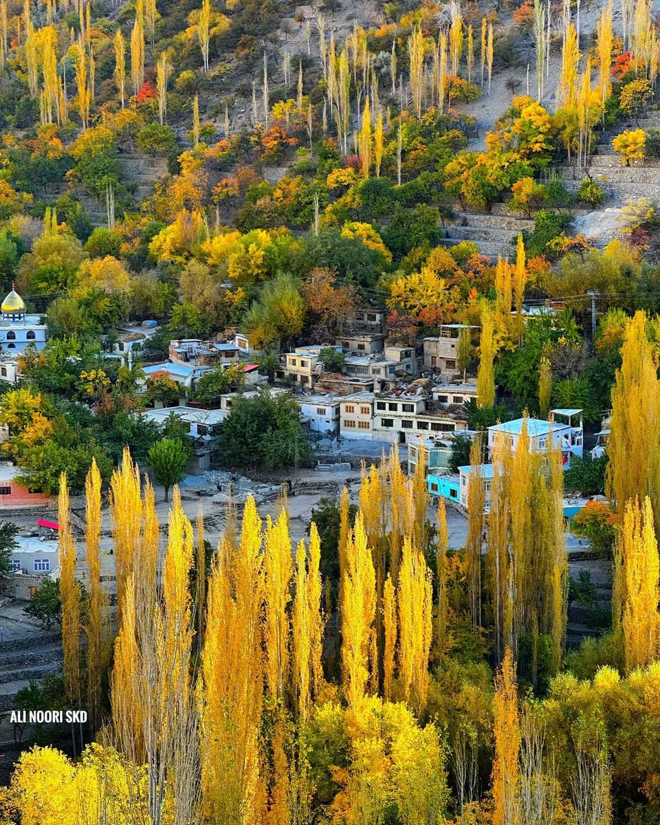 🇵🇰VisitPK ®️ tweet media