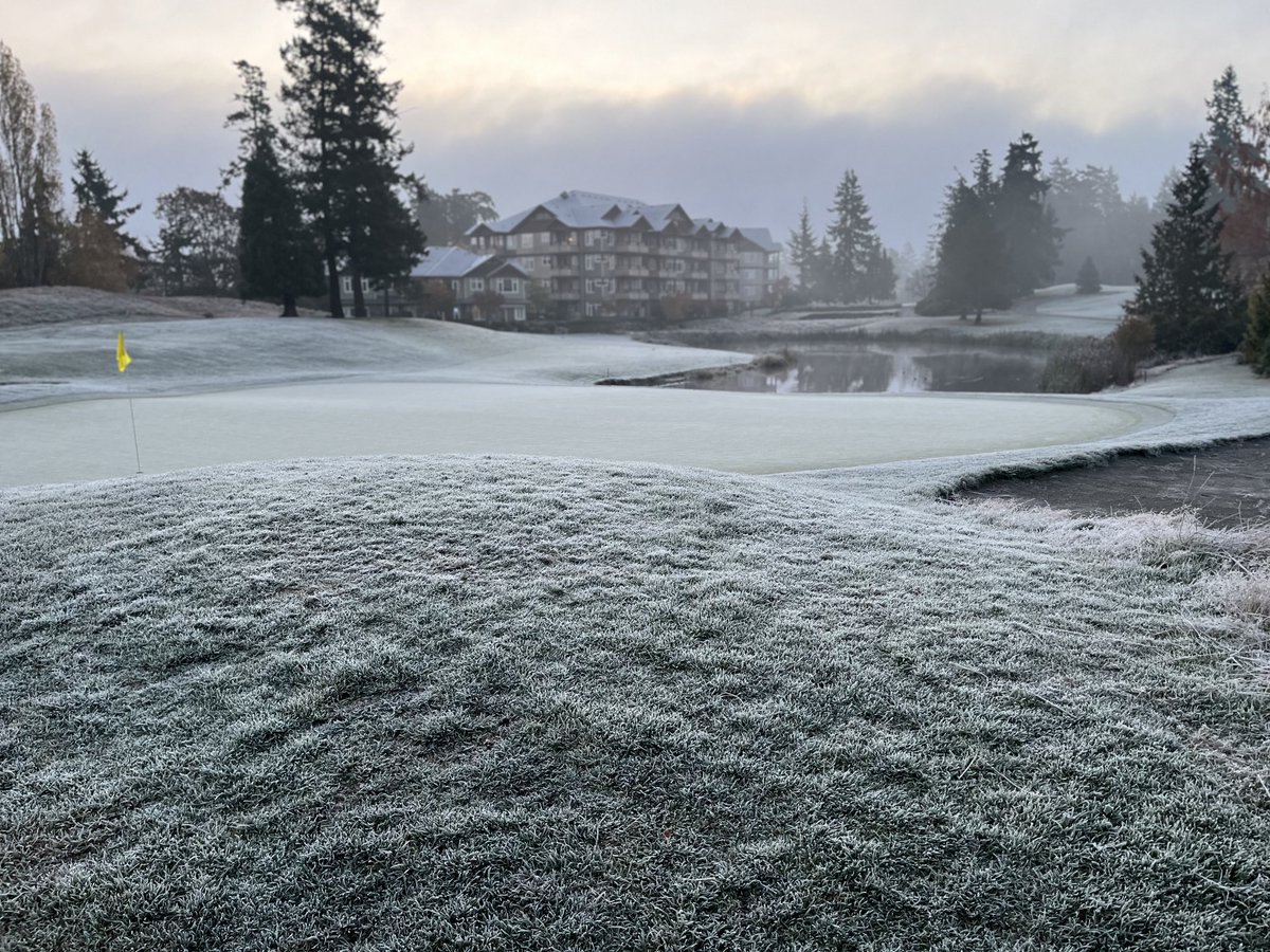 Scott Wheeler CGCS 🇨🇦 tweet media