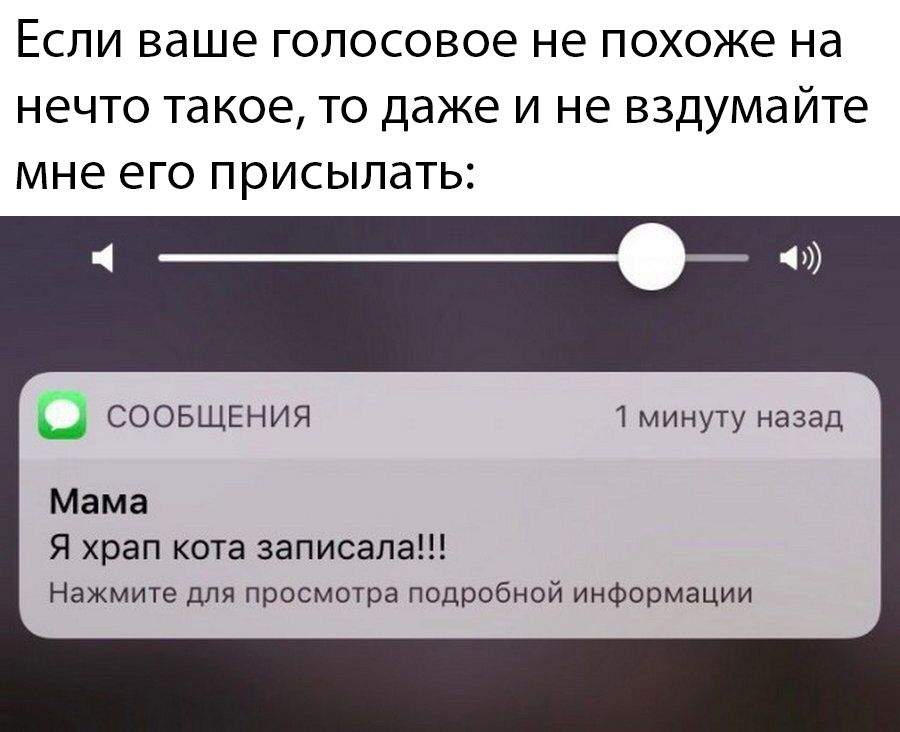 Голосовые статусы