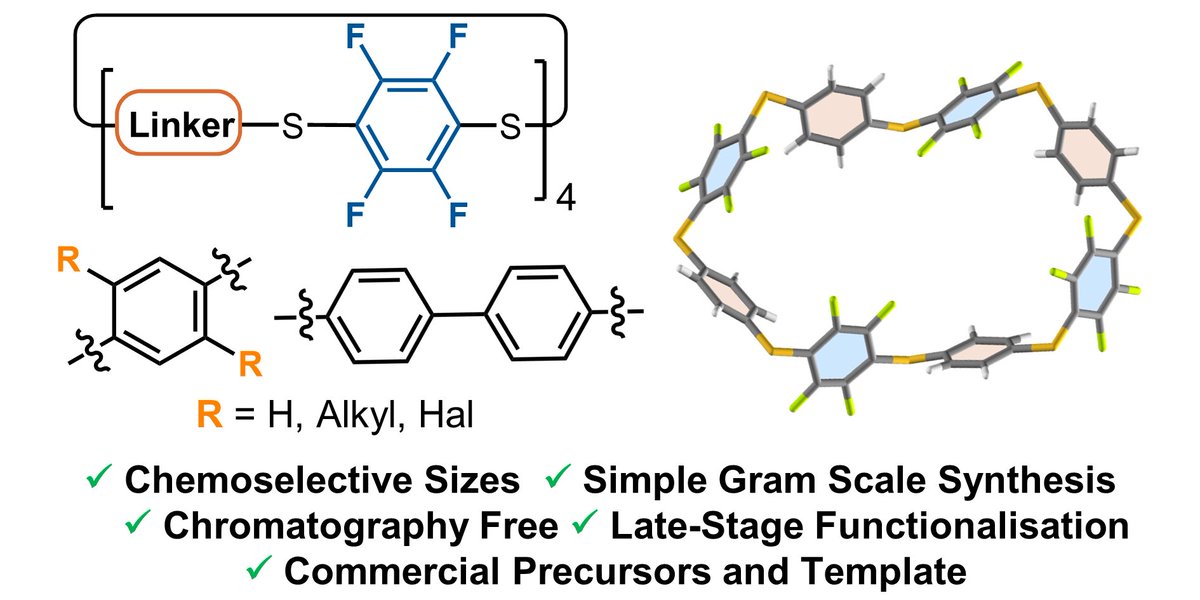 📣 Our easily prepared fluorinated corona[n]arenes macrocycles are primed for late-stage functionalisation and perfect building blocks for your supramolecular / synthetic needs!

What will you create?

pubs.rsc.org/en/content/art…

Just Accepted: <a href="/ChemicalScience/">Chemical Science</a>
