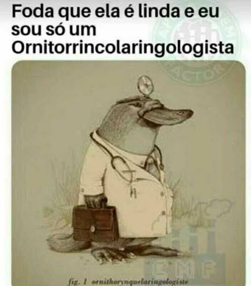 lccoito's tweet photo. https://t.co/kF4IzIa0Ws