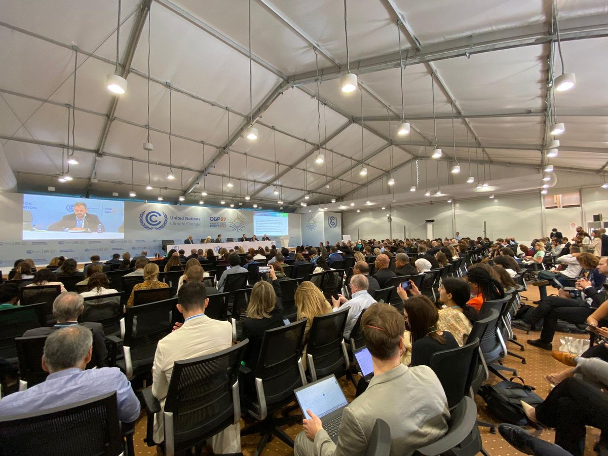 Duarte Cordeiro tweet media