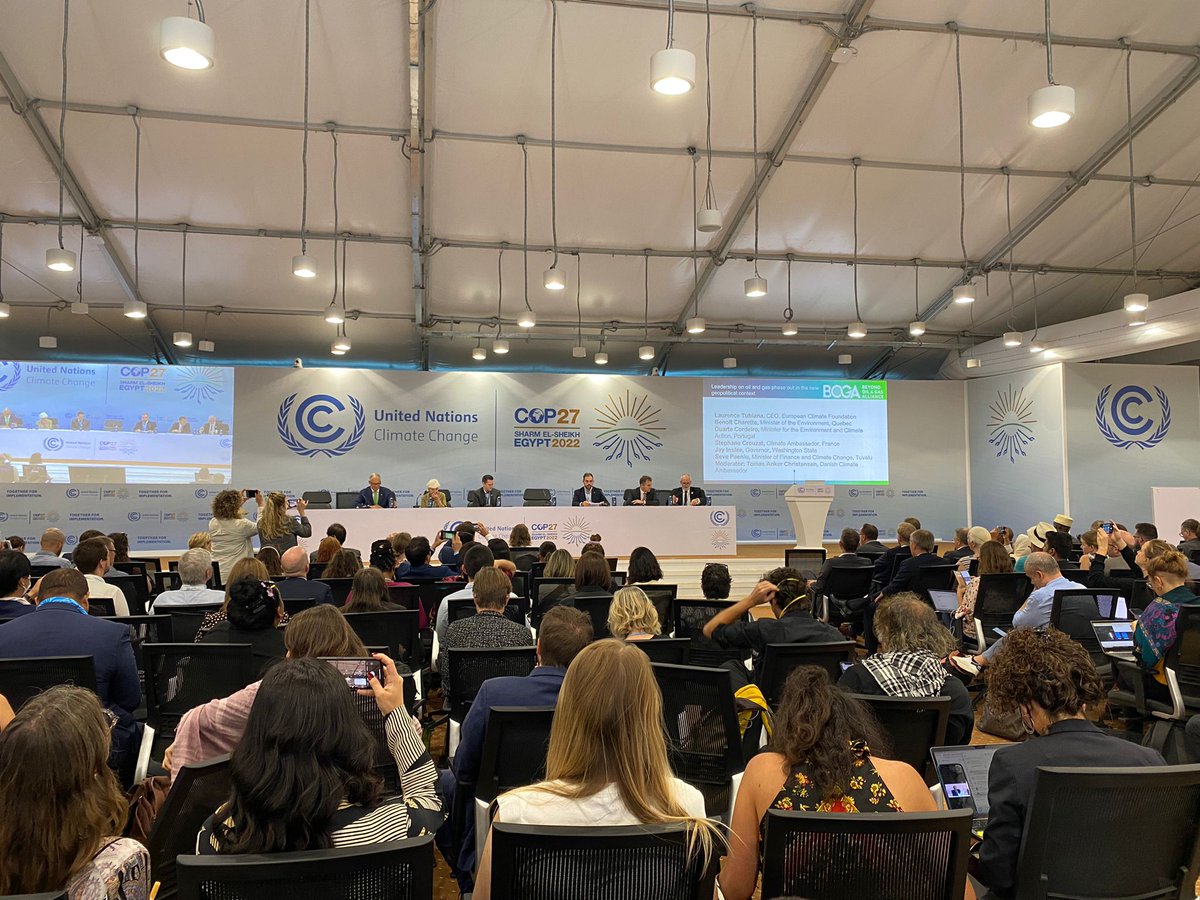 Duarte Cordeiro tweet media