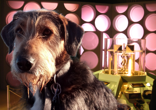 the2underdogs's tweet photo. Today is #DoctorWho Day! Depending on what time period you are currently in, it is approximately 59 years since the show hit our screens. We will be watching Ep 1 #AnUnearthlyChild tonight. Classic!
#doctorwhoanniversary #23rdnovember #Tardis https://t.co/V4XsWiLMaG