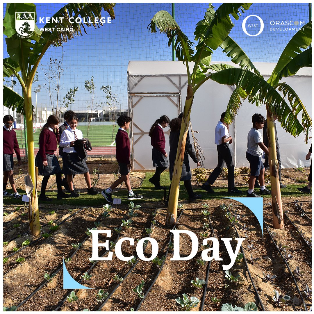 KentCairo's tweet photo. As part of the United Nations Environment Programme @UNEP and in celebration of COP27 being held in Egypt Students enjoyed several activities through the day, such as: planting in our Eco garden, writing pledges, using recycled plastic to create accessories.

Apply now! https://t.co/QEVTkxKHhq