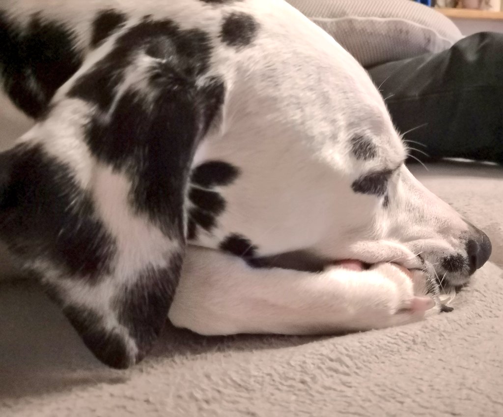 Bei dem ekligen Wetter gehe ich heute nicht mehr raus.