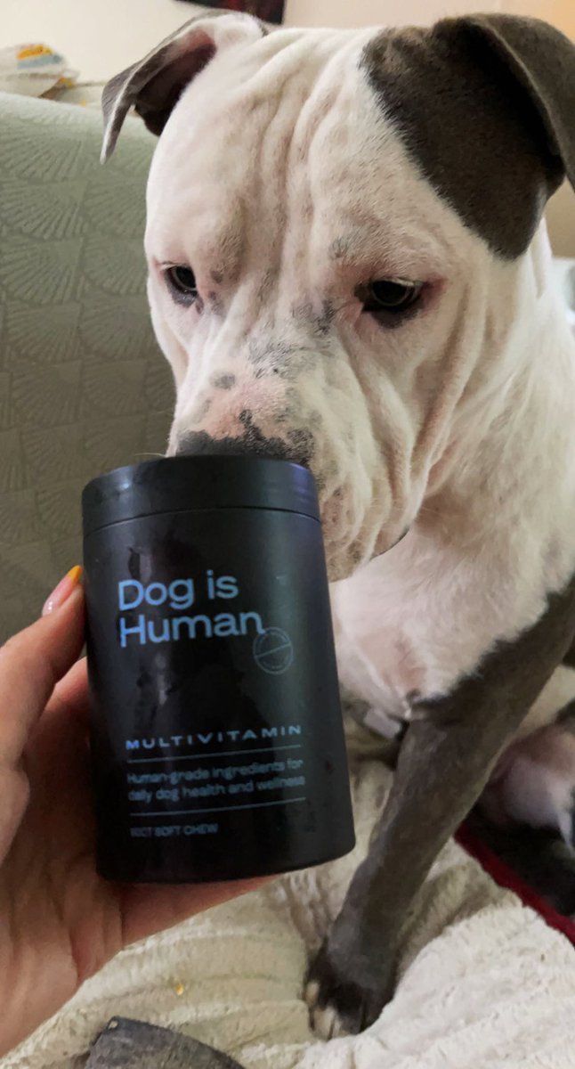 _ObeyMEimDope's tweet photo. It’s here ! Tip opened his package under supervision &amp; he was very excited ! He loves the taste of his new multivitamins ! Will be adding them in his daily routines ! @mydogishuman https://t.co/4RqiitcSnu