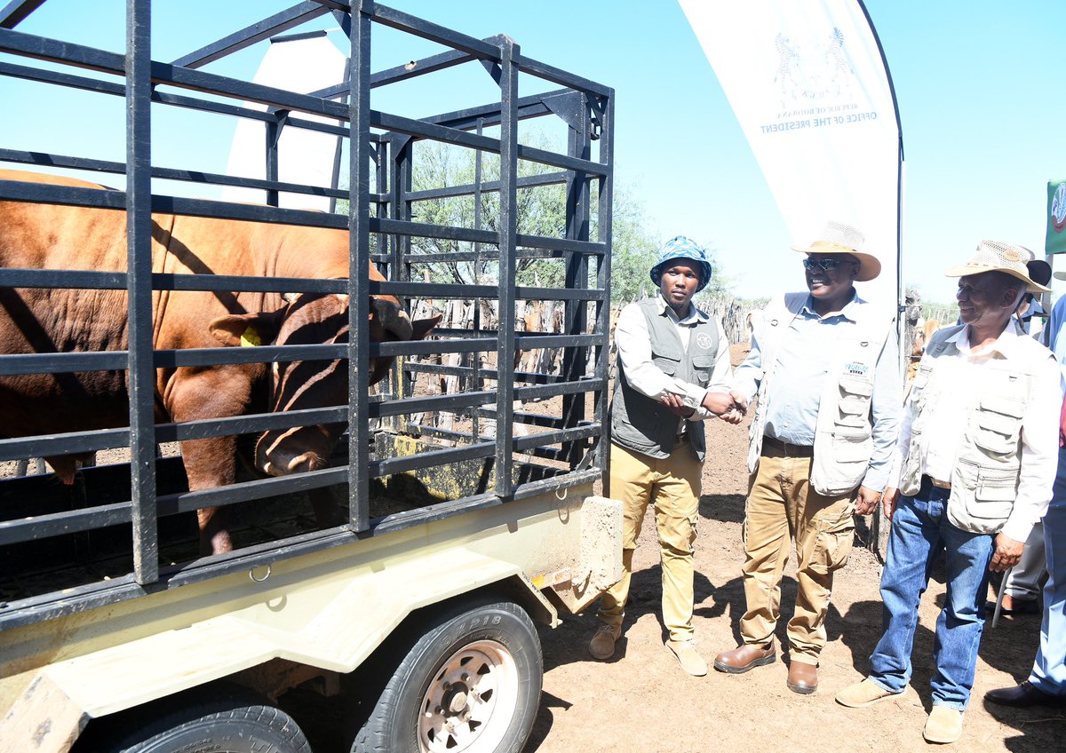 OfficialMasisi's tweet photo. Dumelang Batswana. The Bull Donation Initiative continues and has taken us to Kokotsha, syndicate number 2 where we met this remarkable young farmer, Mr. Mothusi Bote. We donated to him a beef master bull! https://t.co/AjkdohRpJ4