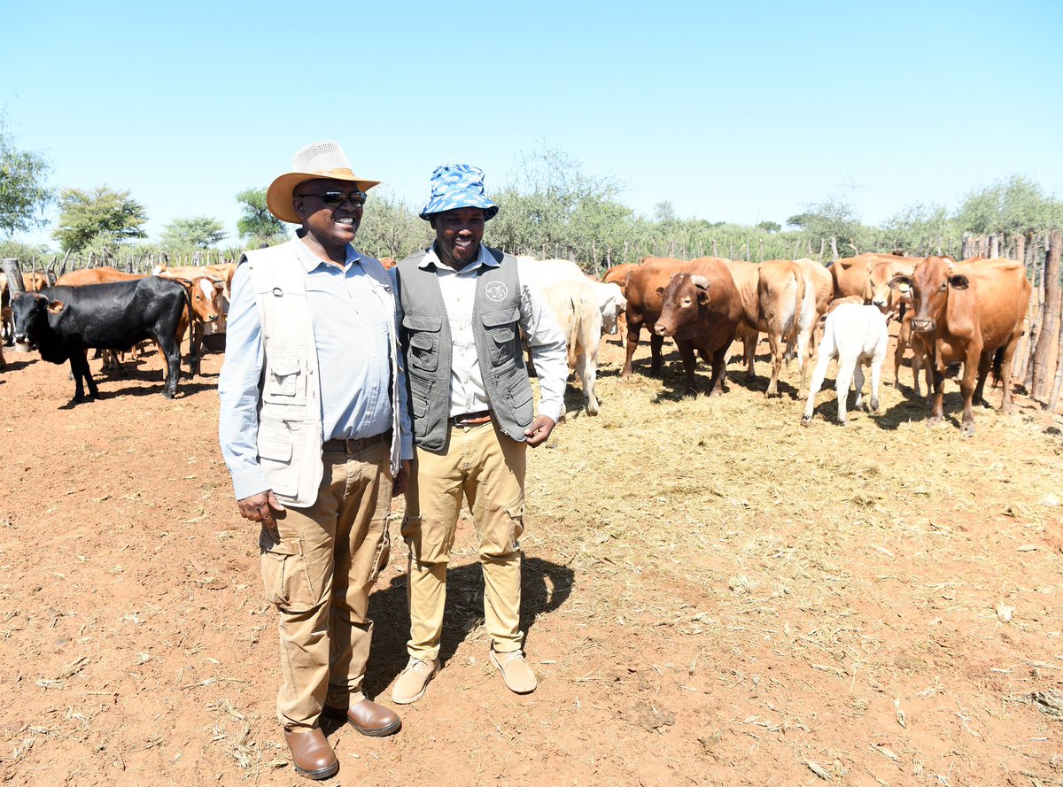 OfficialMasisi's tweet photo. I urge you all to make full use of programmes the government offers such as the Youth Development Fund (YDF) of which this 32-year-old farmer was funded P90 000. From the funds, he bought 15 heifers leading to a current total of 31 cattle. https://t.co/XFcVrLMFXA