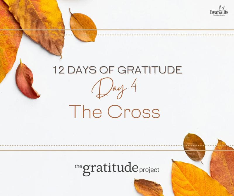 BreathofLifeTV's tweet photo. Day 4 Challenge!!
Is anybody thankful for the cross? Share in the comments what the cross means to you ✝️🙌🏾
#12daysofgratitude #thegratitudeproject #grateful #thanksgiving #breathoflifetv #oucsda #bol #ouc #pastordsnell https://t.co/K1oH8RpnNq