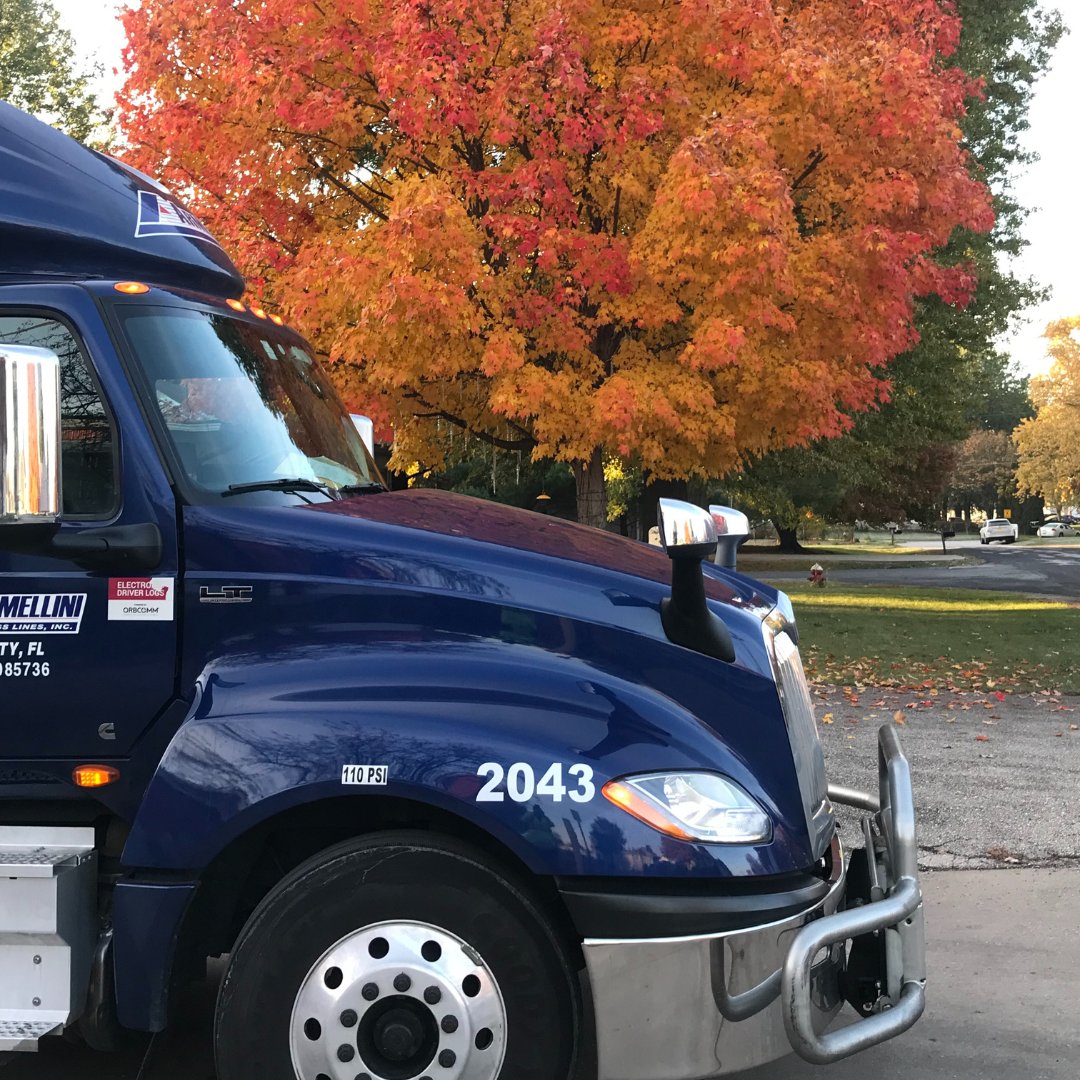 Fall Foliage in Pennsylvania! 
📸: Stan