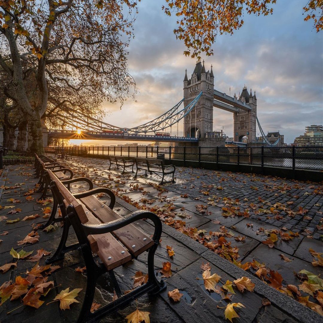 ¿Con quién te gustaría sentarte frente al Puente de la Torre disfrutando del otoño londinense? 🍂