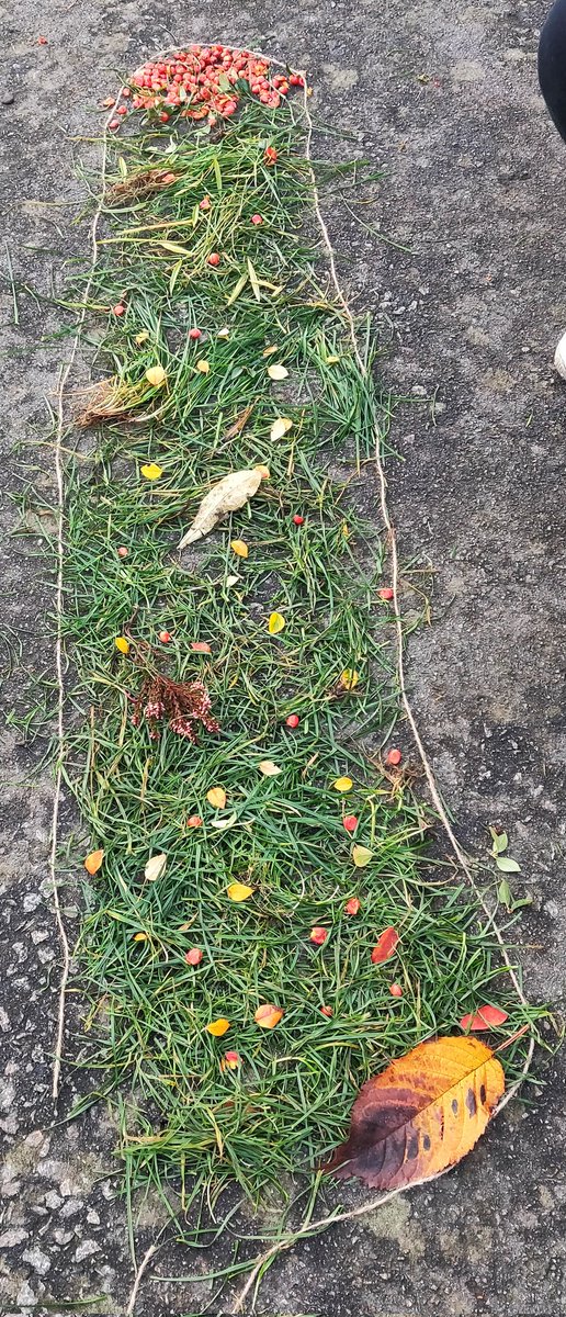 silverhaar1's tweet photo. P6 @woodside_school are learning about Ghana. Today they focused on the national dress. After drawing their own designs, one class headed out to recreate them with bright autumnal colours - the results were stunning 😊
#creativeoutdoors #fun #designs #play https://t.co/2Qevi2AWcJ