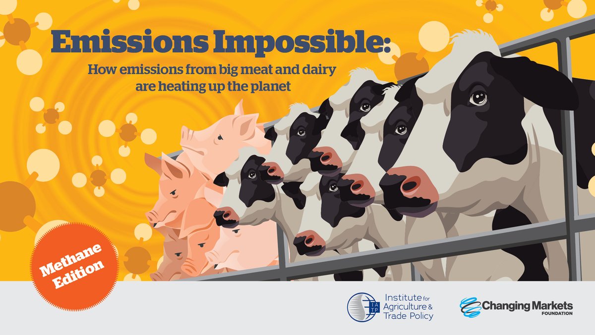 IATP's tweet photo. 🌎Livestock methane emissions from big meat &amp; dairy companies are a global problem that requires global attention. Translations of our #EmissionsImpossible report’s executive summary are available in #Spanish #French #German and #Portuguese 👇 https://t.co/O0Nw074uDR https://t.co/5sQGQtYXKk