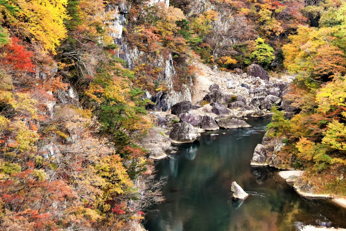 ExploreJapanAR's tweet photo. هذا هو نهر كينوغاوا في محافظة توتشغي، وفي هذا النهر يمكن خوض تجربة ركوب قارب تقليدي مع مرشد يرتدي ملابس تقليدية في رحلة على طول النهر حيث الطبيعة الغنية والمنحدرات الطفيفة على جانبي النهر. ويعتبر فصل الخريف من أكثر الأوقات شعبيةللإبحار بين الطبيعة الملونة بألوان الخريف الدافئة🍁 https://t.co/AwzbDsRVN7