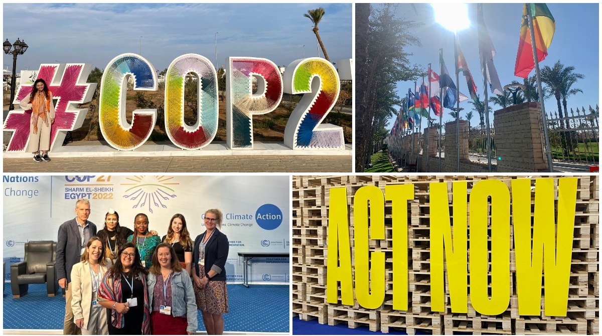 Grantham Institute Imperial (@grantham_ic) on Twitter photo Just landed: Our weekly update of all things #climate #environment at <a href="/imperialcollege/">Imperial College London</a>
Read on for:
🐝NEW briefing on solving #climate #biodiversity crises
💰The latest on #LossAndDamage from #COP27
🌏Comment on Carbon Budget, #mentalhealth, energy & more
ow.ly/J5h550LG1cn Just landed: Our weekly update of all things #climate #environment at <a href="/imperialcollege/">Imperial College London</a>
Read on for:
🐝NEW briefing on solving #climate #biodiversity crises
💰The latest on #LossAndDamage from #COP27
🌏Comment on Carbon Budget, #mentalhealth, energy & more
ow.ly/J5h550LG1cn