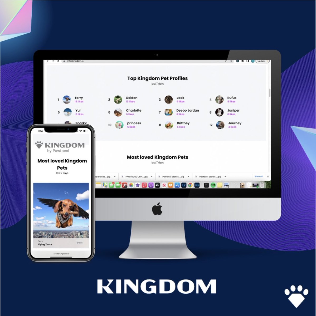 Kingdom is more than a social media platform; it’s also a pet-friendly community community. 

Members can connect by creating, sharing, and exploring pet content  and getting rewarded for it. 

As other users jump on, &amp; check out your pets post… their engagements are monetized!