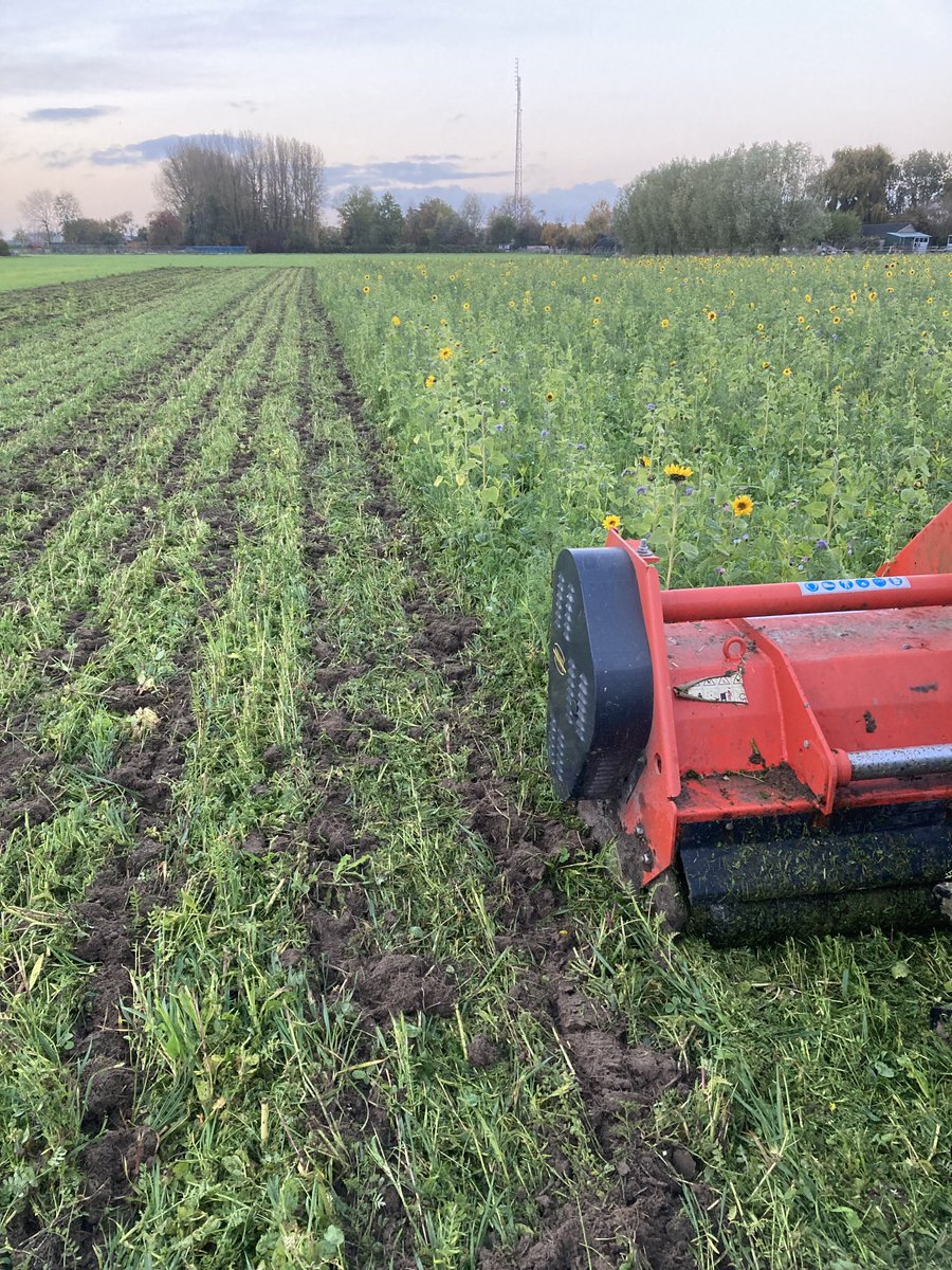 Dennie de Putter tweet media