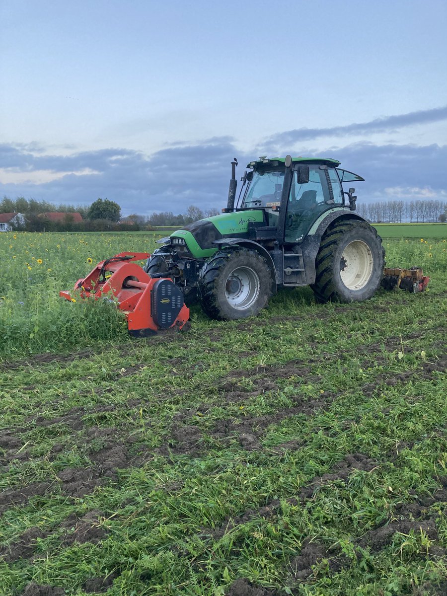 Dennie de Putter tweet media