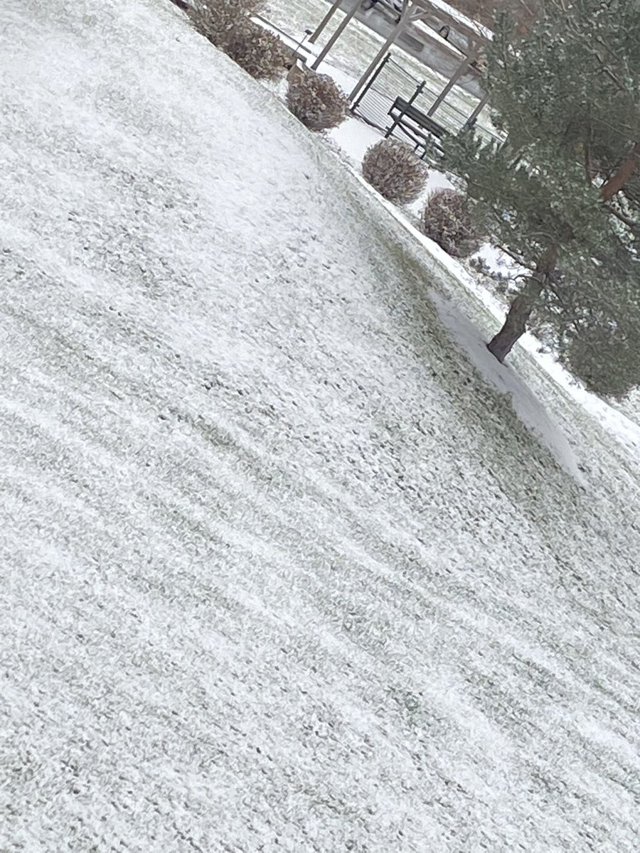 Not much snow has fallen, but when you have a window seat in the chemotherapy infusion center, you appreciate every little view. Here’s mine