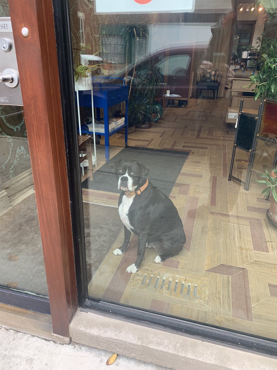 claire🐻 tweet media