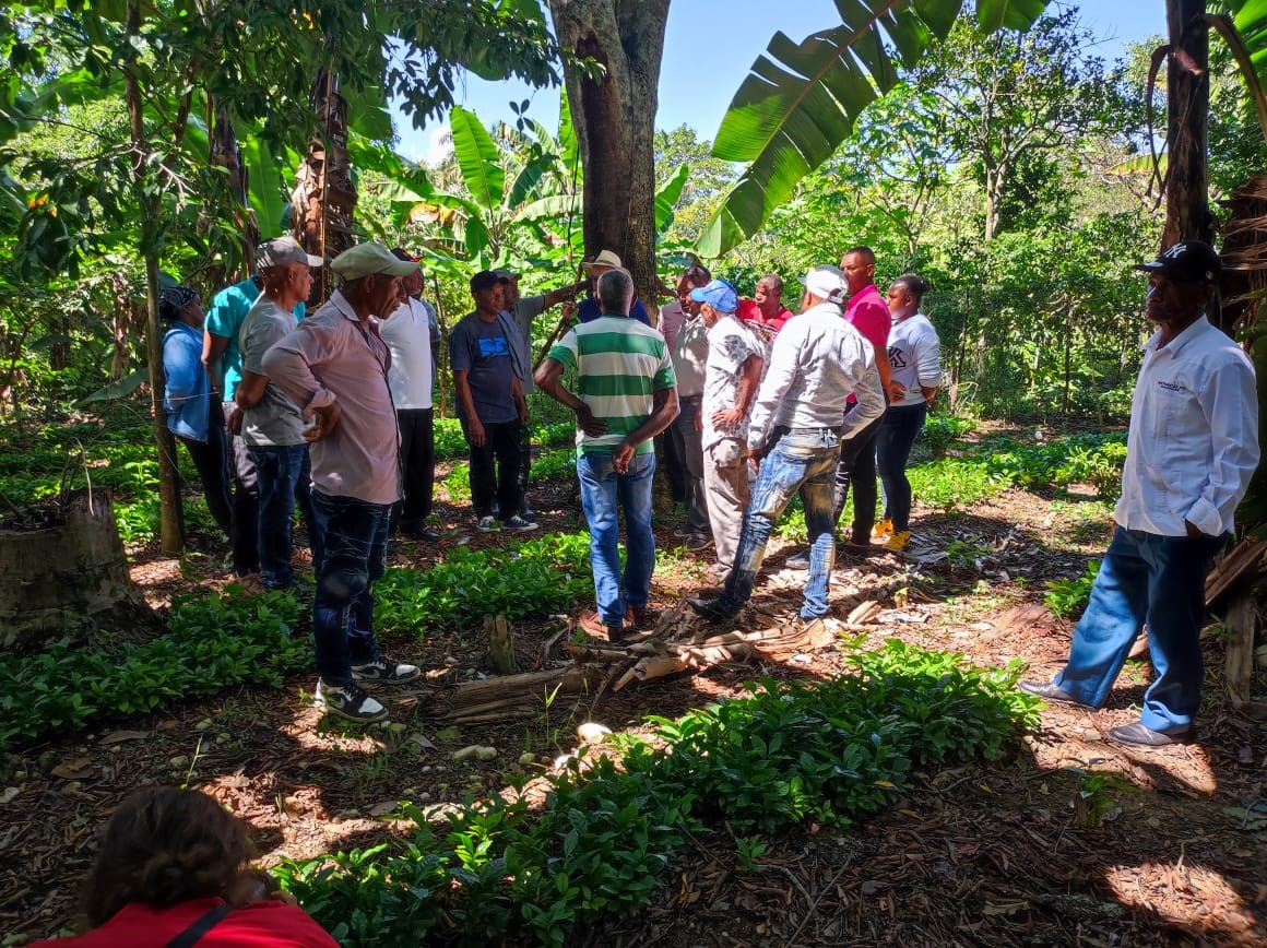 endadominicana's tweet photo. Estamos convencidos de que la agroforestería es una herramienta importante para nuestra adaptación al cambio climático. Taller de Agroforestería en la Comunidad La Navaja. Programa de Talleres Proyecto Comunidades Caribeñas Resilientes
#TalleresENDA
#proyectoCCR https://t.co/tnQOufJqmc
