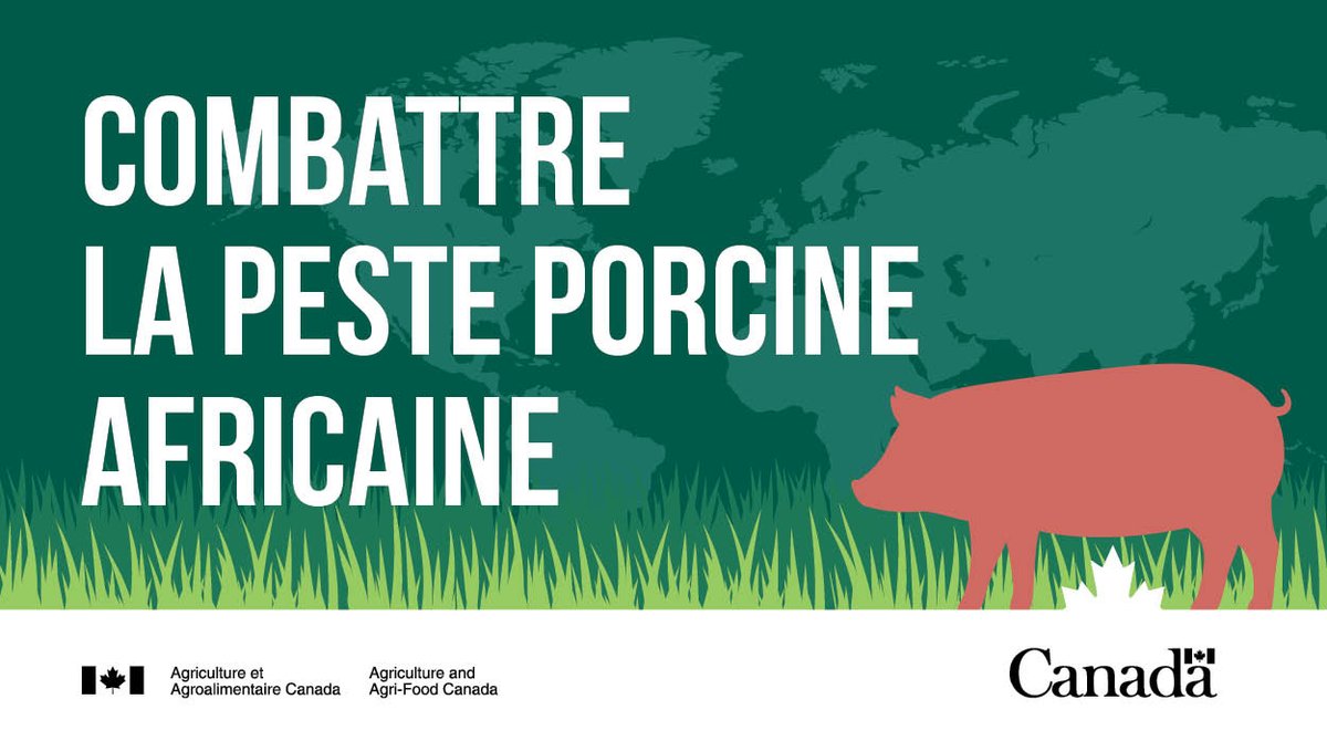 AAC Canada (@aac_canada) on Twitter photo Notre nouveau programme de financement visant à aider l’#AgCan à prévenir la peste porcine africaine et à en atténuer les risques accepte maintenant les demandes. Voir les détails des volets ci-dessous :
ow.ly/7PiB50LG0bZ
ow.ly/1QtA50LG0bY Notre nouveau programme de financement visant à aider l’#AgCan à prévenir la peste porcine africaine et à en atténuer les risques accepte maintenant les demandes. Voir les détails des volets ci-dessous :
ow.ly/7PiB50LG0bZ
ow.ly/1QtA50LG0bY