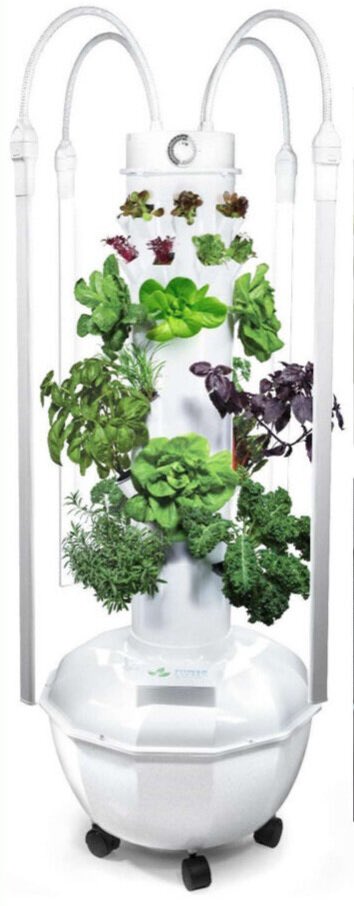 KrollMary's tweet image. THANK YOU Brenham Education Foundation @BrenhamISD for making classroom goals happen! #teachingfortomorrow @KrauseElem  #hydroponics