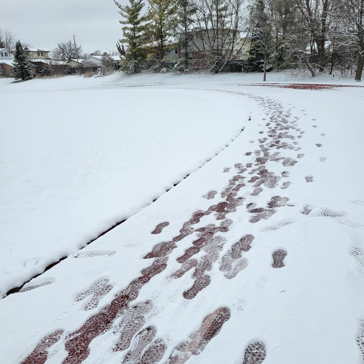 jmdvnft's tweet photo. It snowed this morning... Might as well put 7 miles on the track. 🔥🔥🔥

Canadian athaletes: https://t.co/clIZz0nGd7

American athaletes: https://t.co/t29PUYvhd1

#doworkson
#runners
#runningtips
#running
#marathontraining
#training 
#theragun https://t.co/d4TDRHYeME