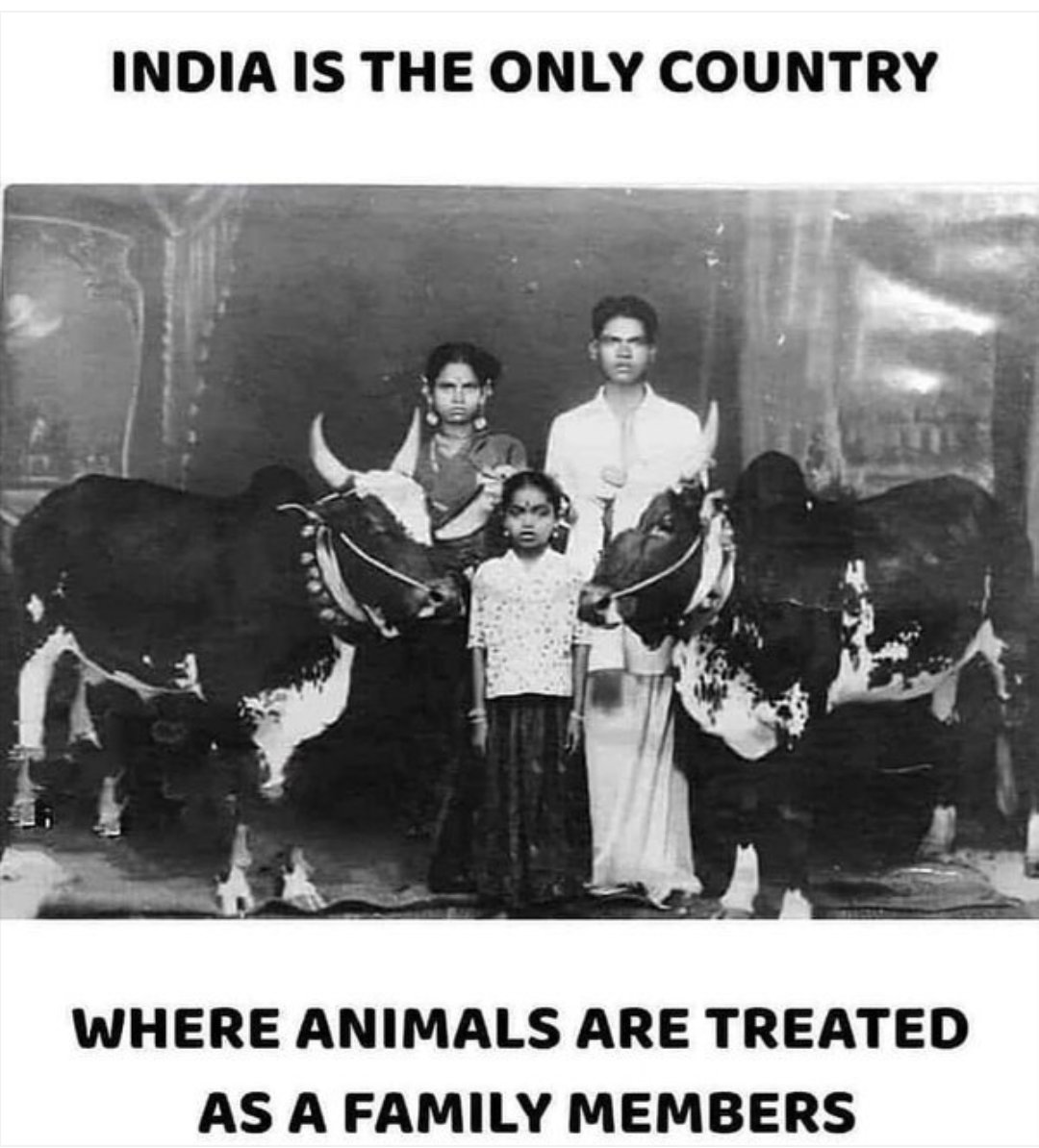 itspayelneogi tweet media