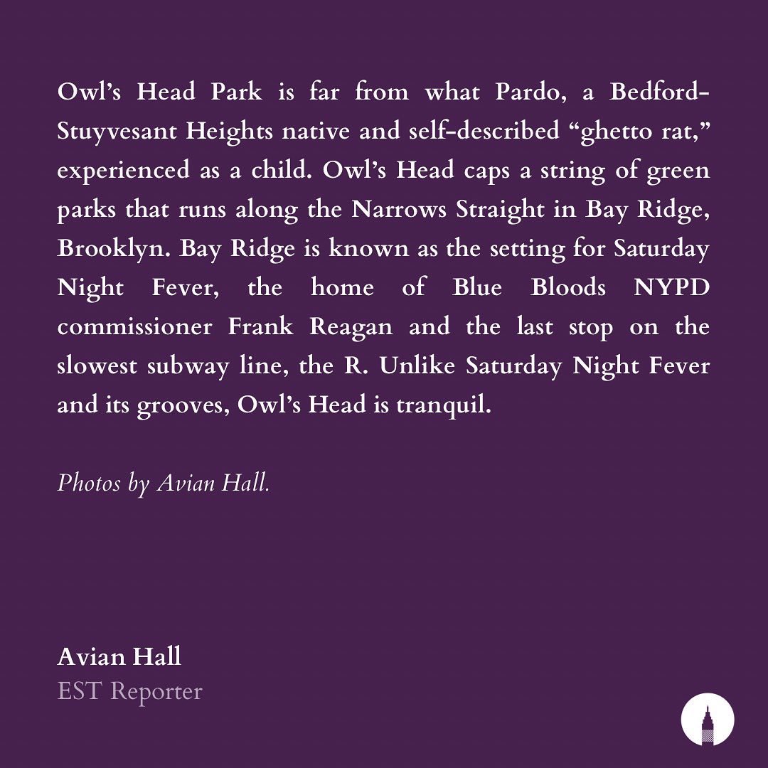 Empire State Tribune tweet media