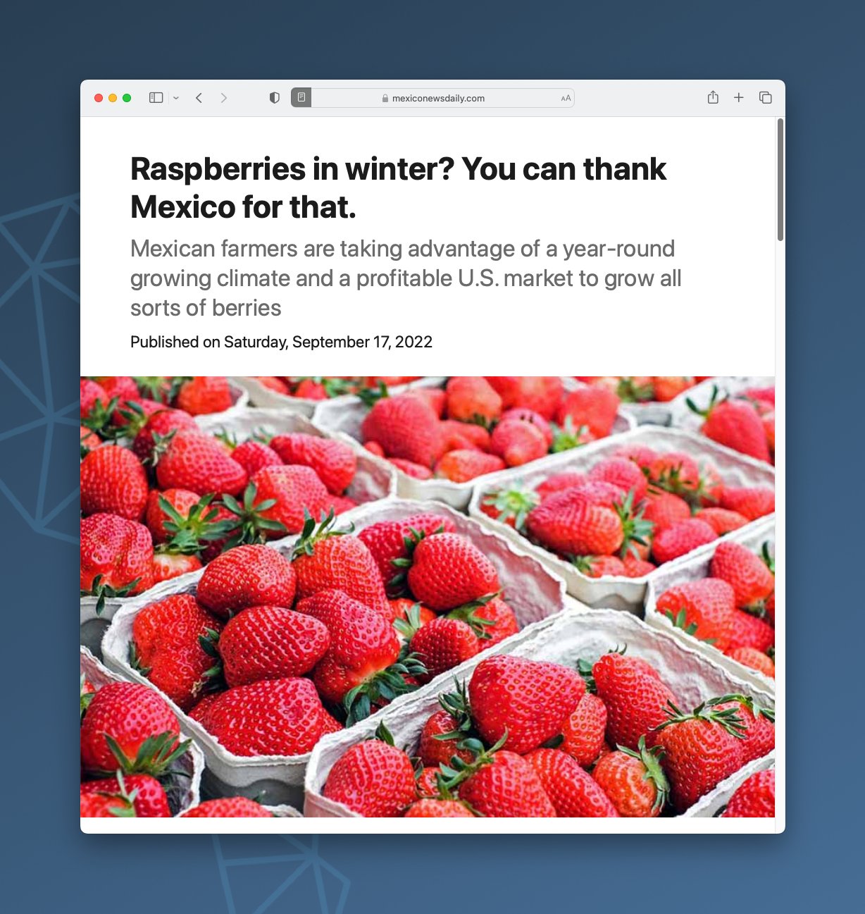 Latinometrics on Twitter "(9/10) Aneberries (aneberriesmx), which