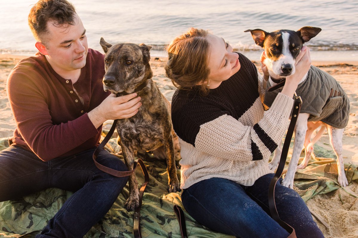 LaurasFocus's tweet photo. Kali &amp; Steve with their pups Quincy &amp; Kennedy! #laurasfocusphotography https://t.co/TR6ZLzMKsS