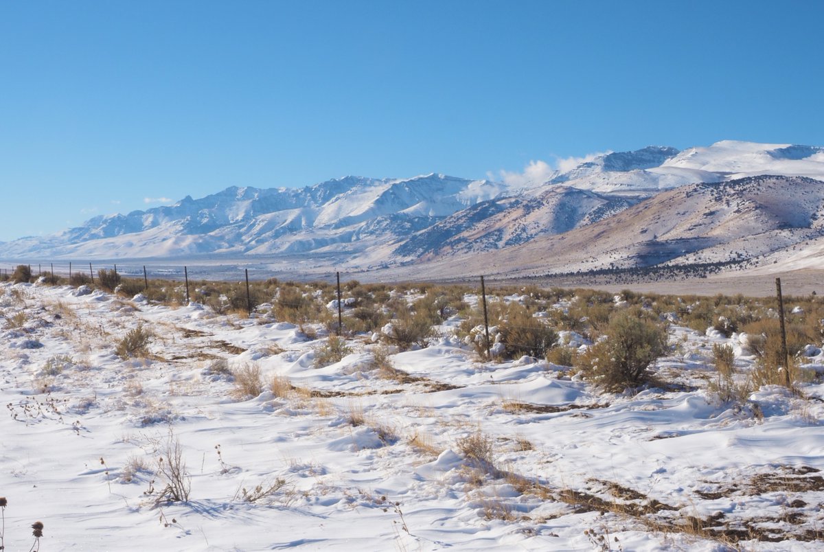 BLMOregon's tweet photo. We're closed for the winter! All gates onto the Steens Mountain Loop Road are officially shut.

Cross-country skiing, snow-shoeing, and snowmobiling will be available when snow conditions allow. It should be soon: this is the coldest start to the season on record. #winterweather https://t.co/AxAL0l5TiH