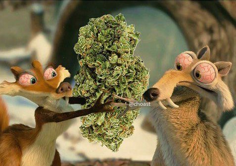 Invis🧜‍♀️ tweet media