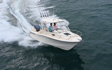 𝔹𝕠𝕝𝕨𝕣𝕝𝕕 tweet media