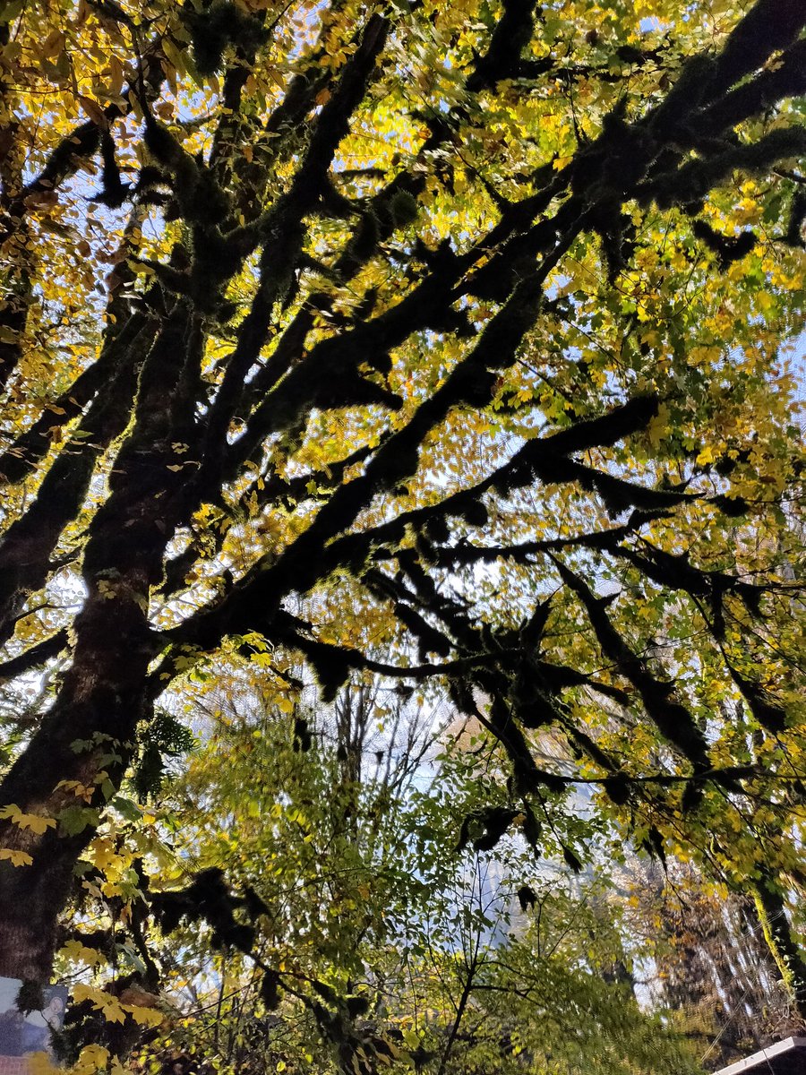 Константин Пипекин (@pipekink) on Twitter photo 