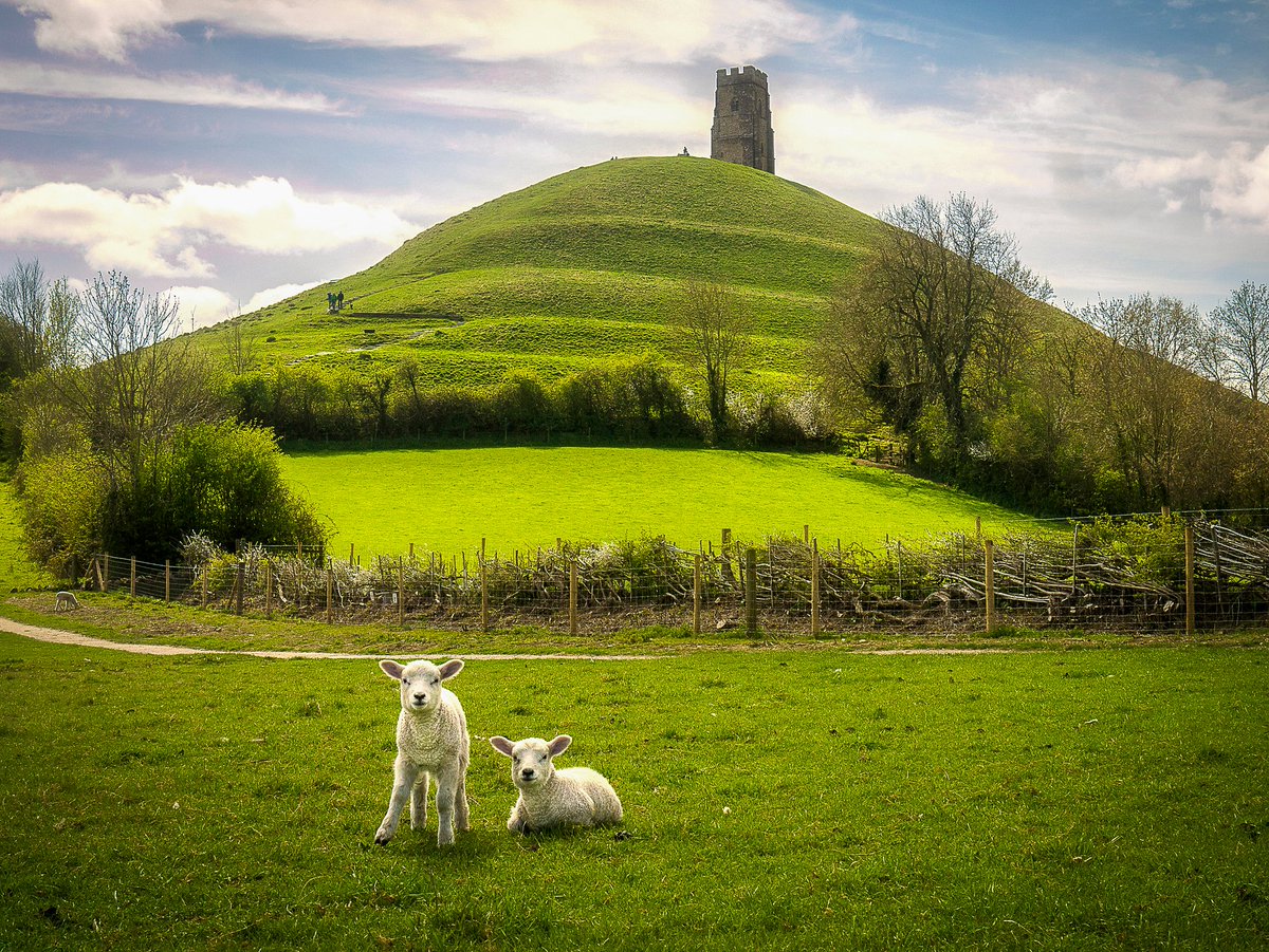 Travel Somerset tweet media