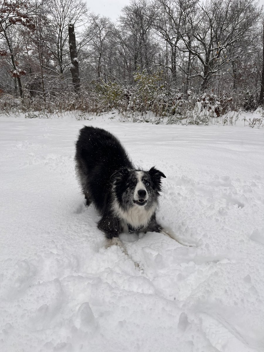 First snow fall in Toronto! Let’s see how long the excitement lasts.