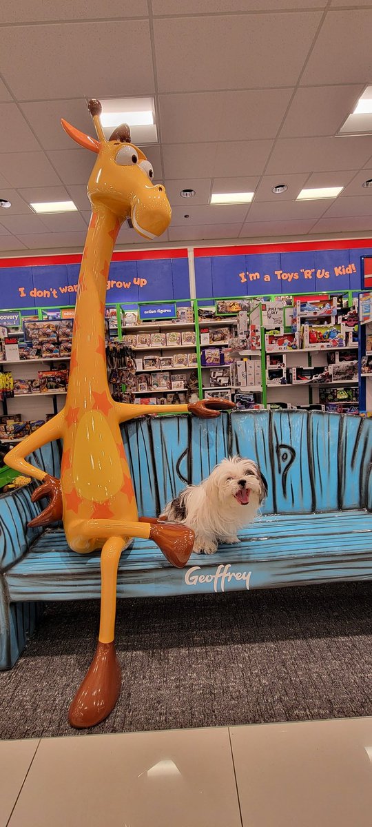 JCVCreates's tweet photo. #Snowpo saw #Geoffrey from #Toysrus https://t.co/X0gdf3Dz3J