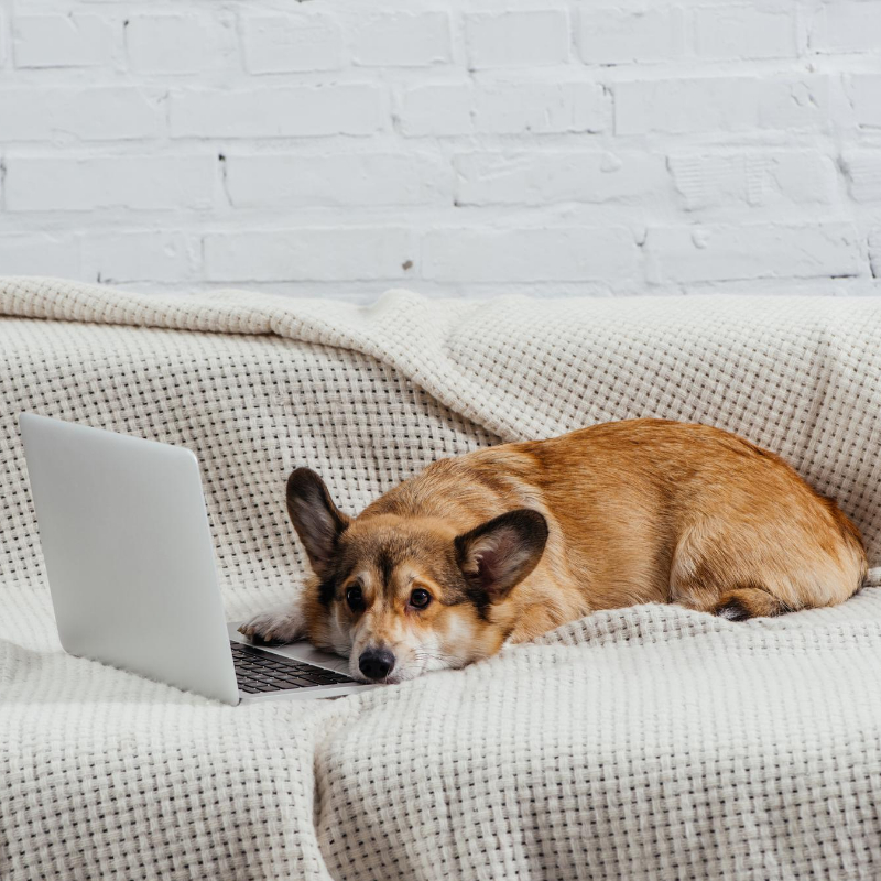 Refreshing Your Dashboard is not equal to working on Your revenue :)